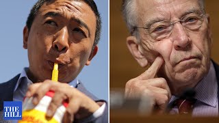 Andrew Yang PUSHES For Term Limits In Congress