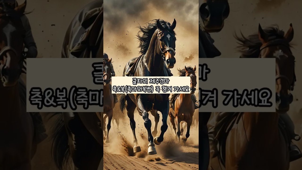 제주경마 많이 답답하시죠?