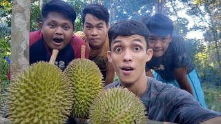 AOK KEH EH? PESTA DURIAN