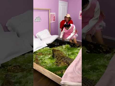 اكتشافات غريبة تحت بطانيتي مغامرة كوميديا