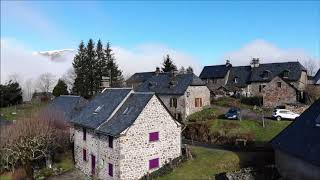 Nierveze