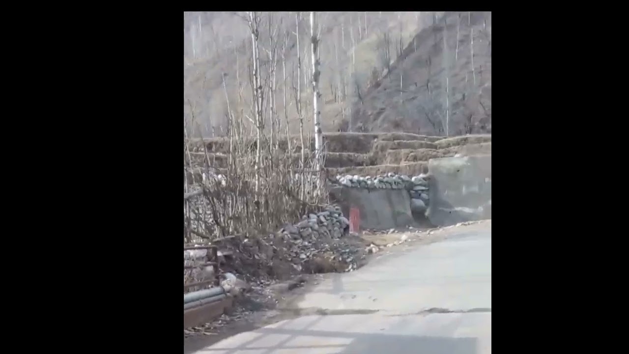 lachipora wildlife sanctuary!Mir sajad volgs