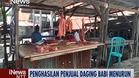 iNews NTT - Isu Virus ASF, Pedagang Daging Babi di Kefamenanu Sepi Pembeli