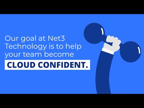 We Are Net3 Technology