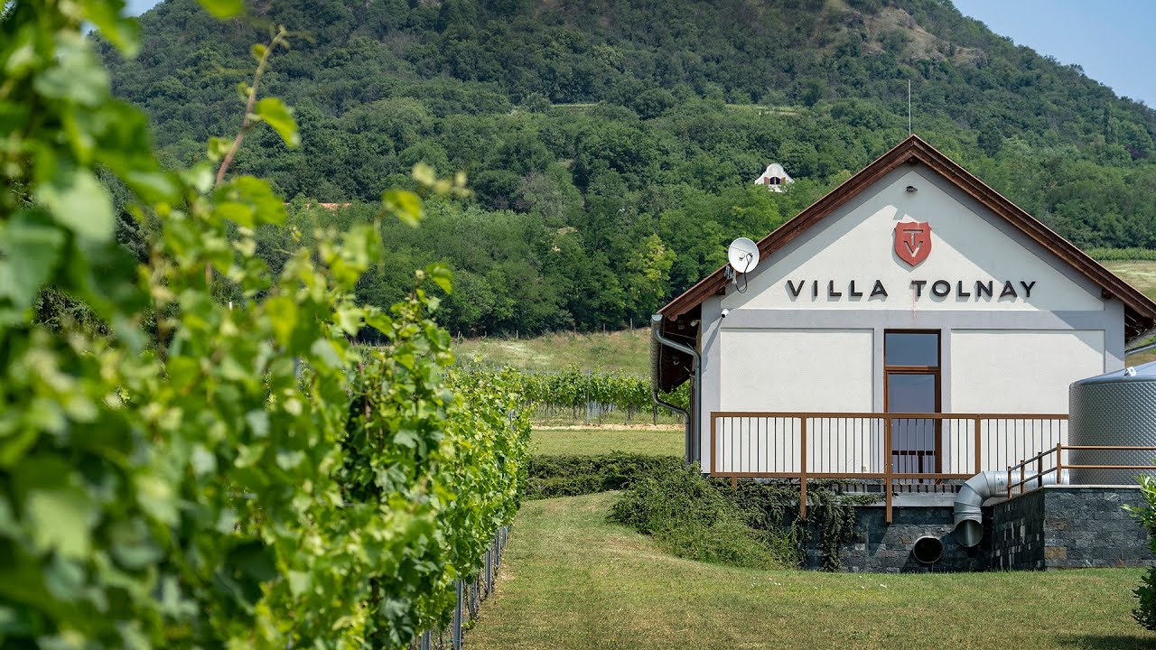 Magyarország Legszebb Szőlőbirtoka 2025 – Villa Tolnay Borház