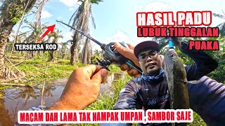 Mancing Ikan Haruan di parit hutan sawit terbiar, GARANG Membantai UMPAN.. SEDUT ke DASAR Paya screenshot 5