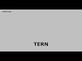 Terns Pharmaceuticals, Inc. (TERN) Stock Analysis | Investment Review: Valuation, SWOT & more