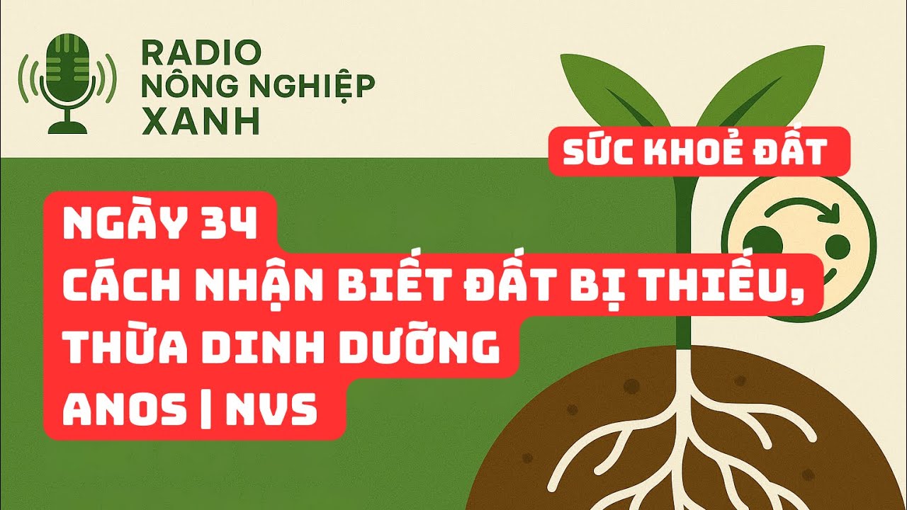 Sức khoẻ đất - Ngày 34| Cách nhận biết đất bị thiếu, thừa dinh dưỡng | ANOS