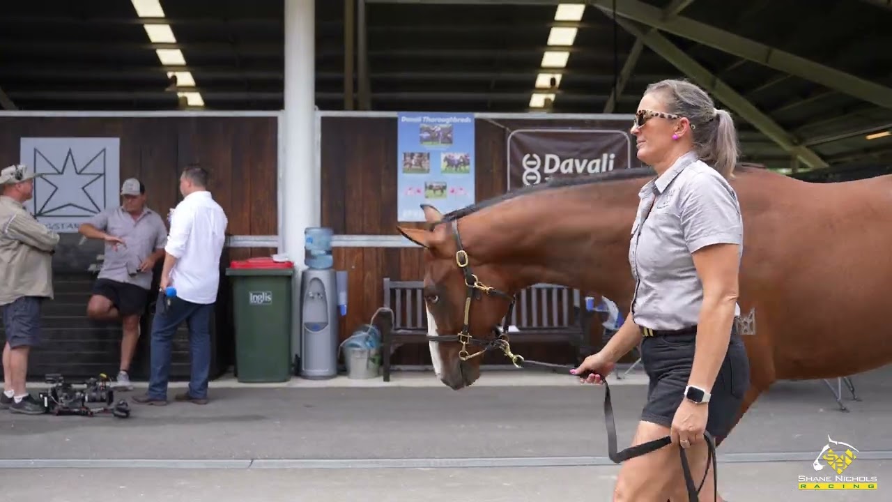 Wild Ruler x Woburn Abbey '24 Filly - Shane Nichols Racing