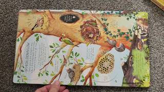 Usborne Look Inside Animal Homes Board book – Lift the flap