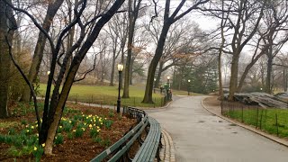 NYC Vlog: My Perfect Central Park Day
