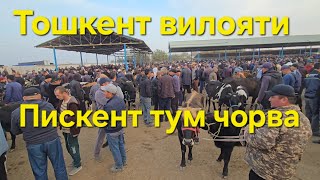 картинка: Пискент тум чорва бозори букалар катори 22.10.2025