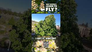 The Common Horsechestnut - this is a magical tree. LEARN TO FLY! #tinywhoop