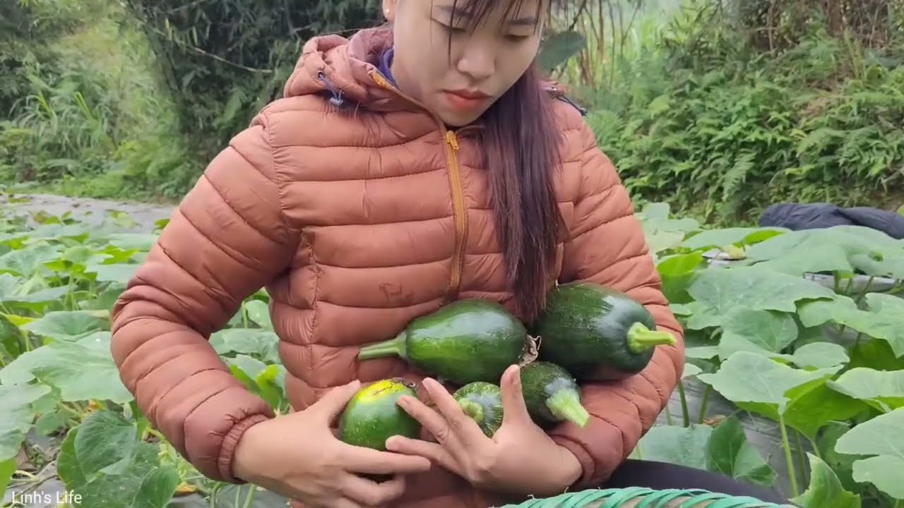 Harvesting agricultural products for sale, Pumpkin, Kohlrabi, Cooking - Happy days together