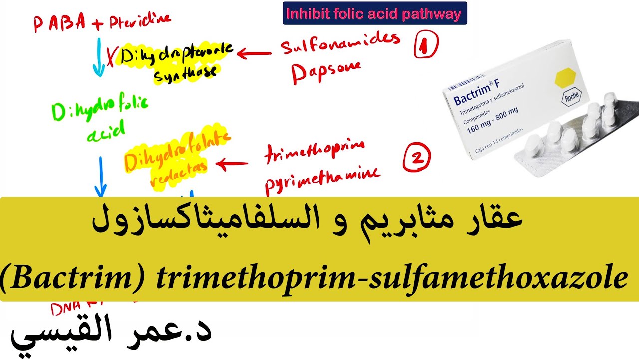 trimethoprimsulfamethoxazole (Bactrim) عقار مثابريم و السلفاميثاكسازول
