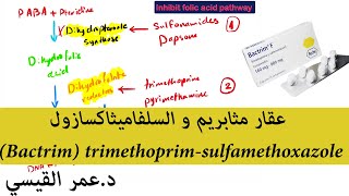 trimethoprim-sulfamethoxazole (Bactrim) عقار مثابريم و السلفاميثاكسازول