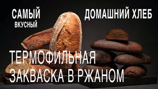 Воспроизводство термофильной закваски в домашних условиях.