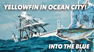 Yellowfin Tuna in Ocean City | Into the Blue