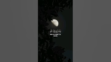 قال إنما أشكو بثي وحزني إلى الله وأعلم من الله ما لا تعلمون |  من سورة يوسف 🍁 القارئ احمد خضر