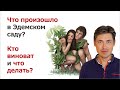 Что произошло в Эдемском саду? Кто виноват и что делать?