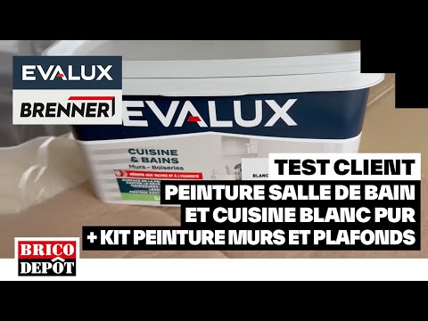 Evalux paint kit + bathroom & kitchen paint - Lionel's review - Brico Dépôt customer