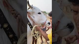 May 6, 2026