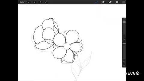 Flower Drawing in Procreate for my Embroidery Patterns