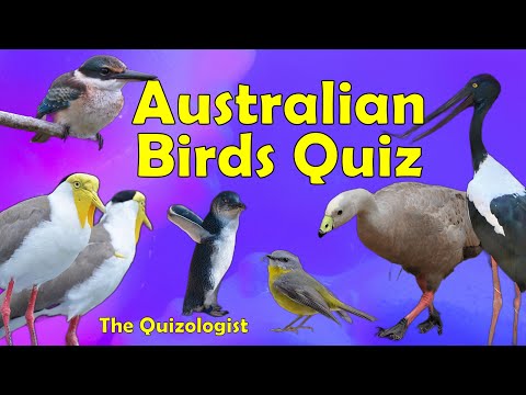 Australian birds quiz