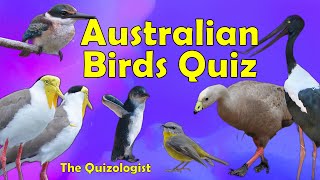 Australian birds quiz screenshot 1