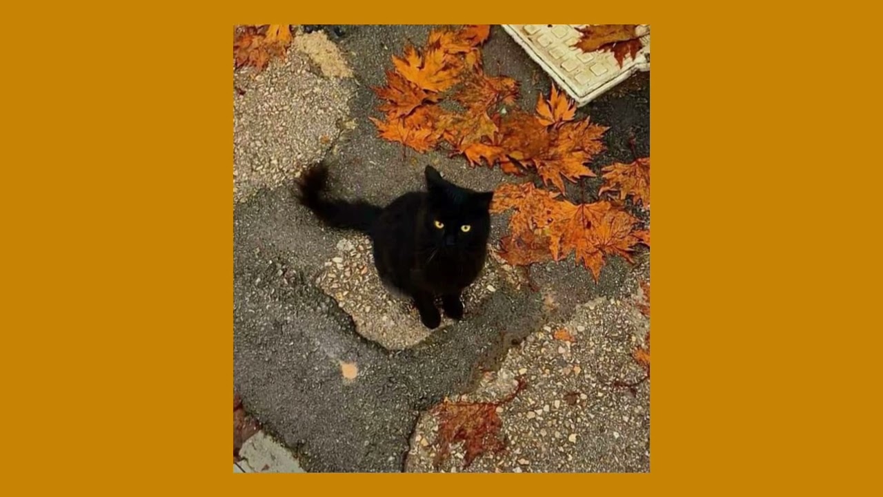 autumnrust-saraunhOly sped up (bc no one else has made one yet)