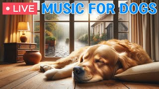 🔴 Music for Dogs Who are Alone: Anti Anxiety & Boredom Busting Videos with Dog Music