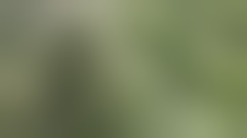 Week 7 with a Mars Hydro Tsw2000 LED grow light in a 3x3x5 tent