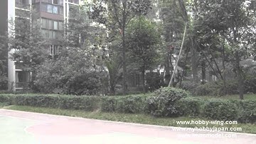 Walkera Genius CP V2