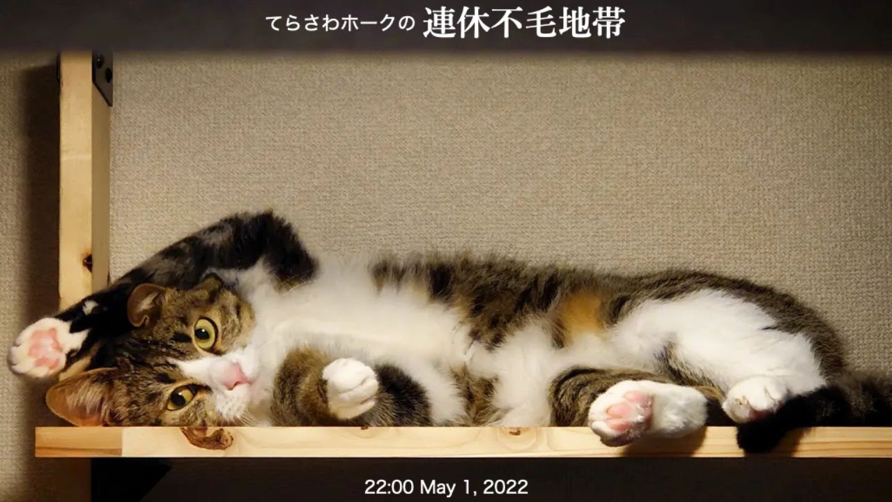 てらさわホークの連休不毛地帯