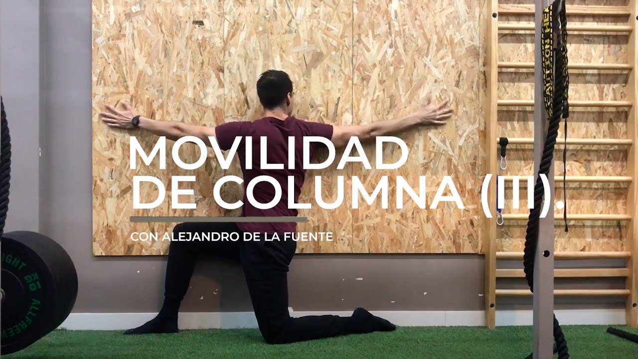 Ejercicios | Movilidad de Columna Vertebral (Nivel III) - YouTube