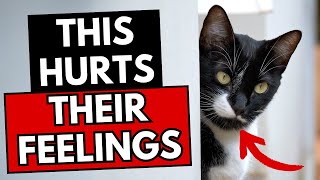 22 Everyday Things That Break Your Cat's Heart