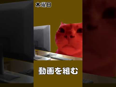 とある底辺YouTuberの一週間【猫ミーム】 #Shorts #猫マニ #猫meme - ミジンコでもわかる時事ニュース