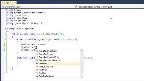 ASP.NET 4.0 Essential Skills Lesson 5-6: Use Boolean variables