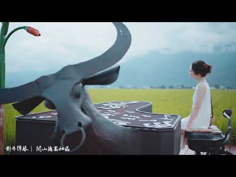 台東池上、關山景點| IN Taitung 農業小旅行-關山池上篇|發現台東 Discover Taitung