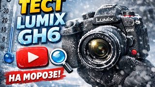 Lumix gh6 испытание в мороз -14°C Feelworld F5 proX