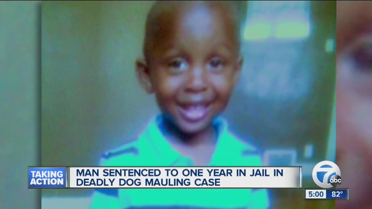 Detroit man sentenced to 1 year in jail, 4 years probation in dog ...