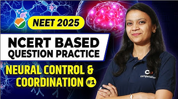 Neural Control and Coordination-1 | Score 360/360 in Biology