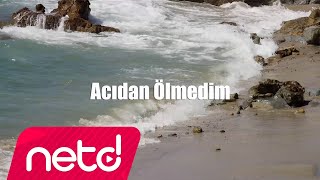 Mucize Orkestra - Acıdan Ölmedim