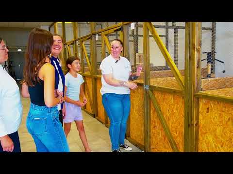 Reportage de la pension féline Miaoumania à Montaigu