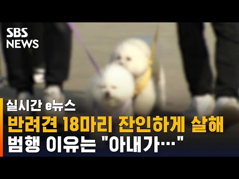 반려견 18마리 잔인하게 살해…범행 이유는 "아내가…" / SBS / 실시간 e뉴스