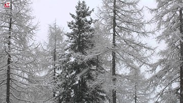 danger pattern (dp) 1 - deep persistent weak layer