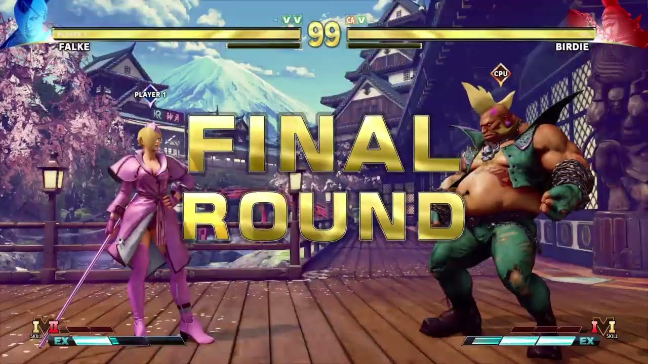 STREET FIGHTER V Falke vs Birdie