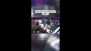 Carter Efe vs. Portable: Was this the wildest celebrity fight yet?