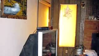 5006 Sturdivant Ave video tour