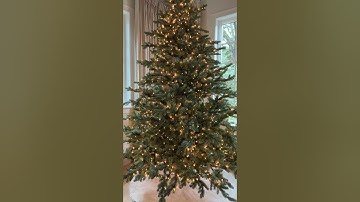 Add magic to your tree with these Twinkle Fairy Lights LINKED BELOW! #christmasdecor #holidaydecor